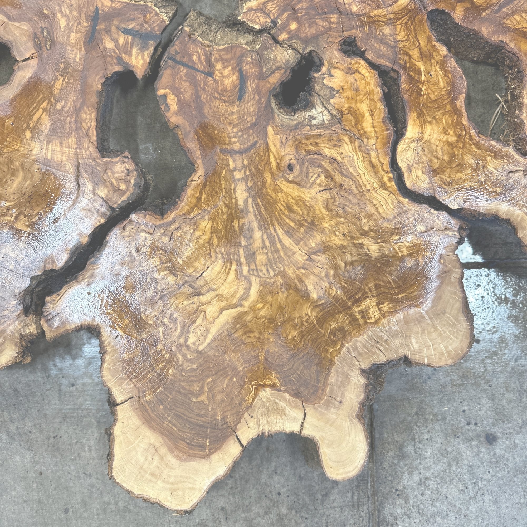 Olive - Hamilton Lee Supply