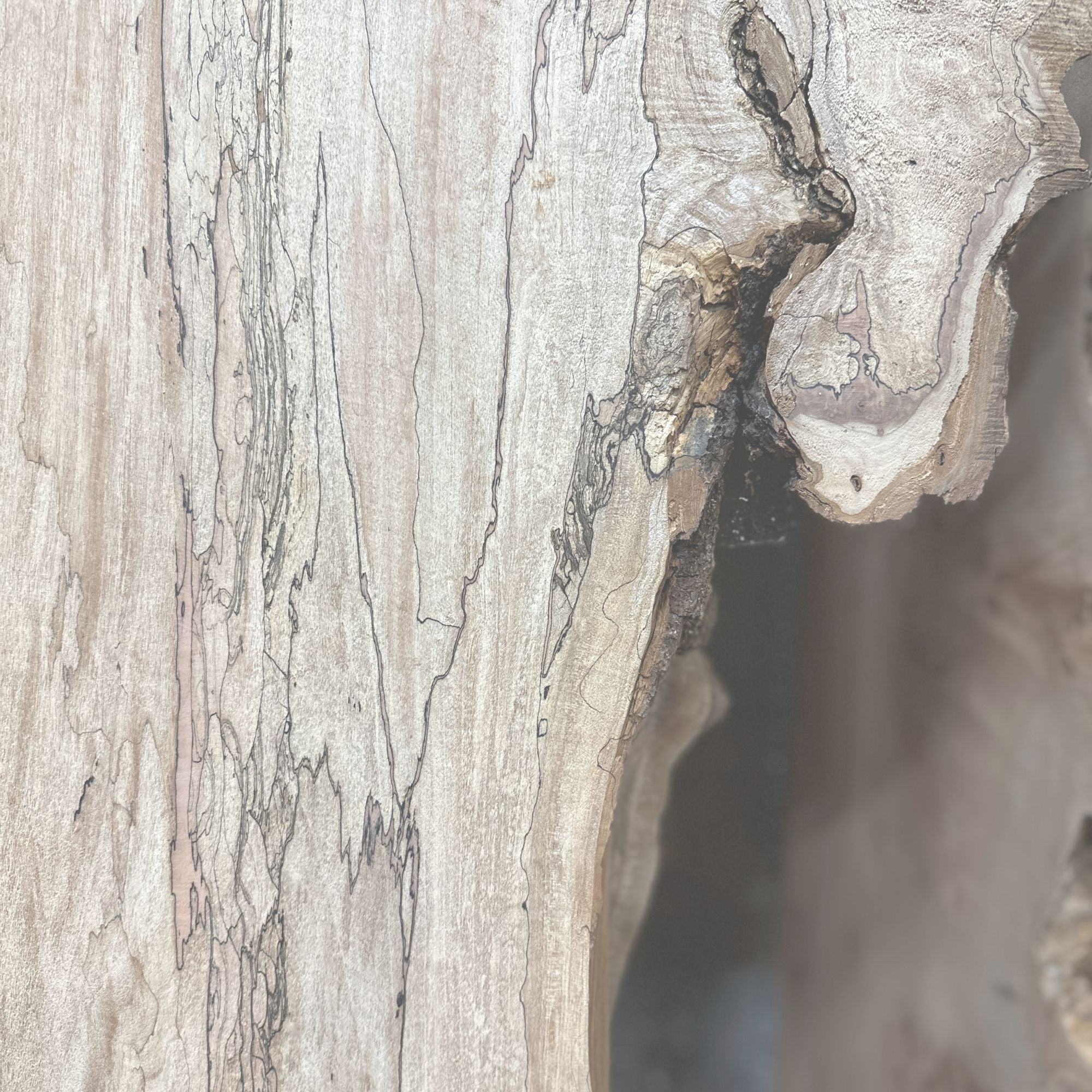 Spalted - Hamilton Lee Supply