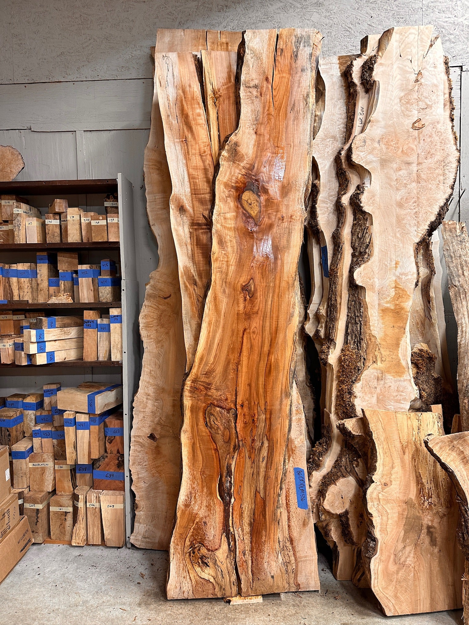Straight Spalted Big Leaf Maple - Hamilton Lee Supply