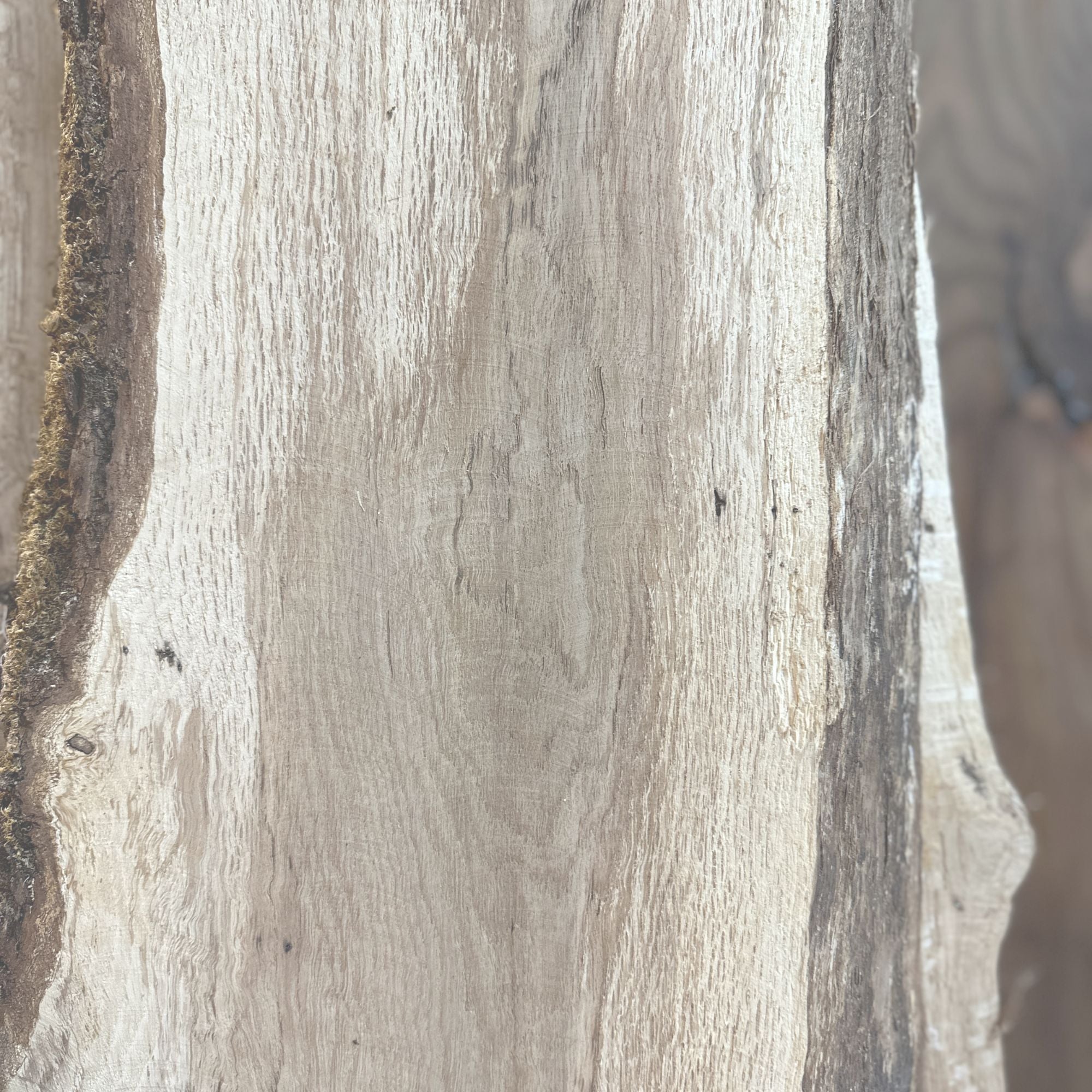 White Oak - Hamilton Lee Supply