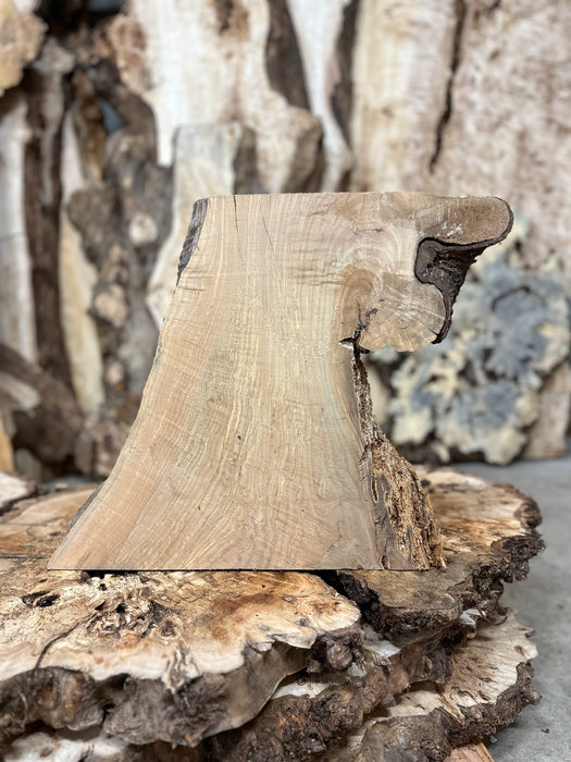 LiveEdge Big Leaf Maple Burl