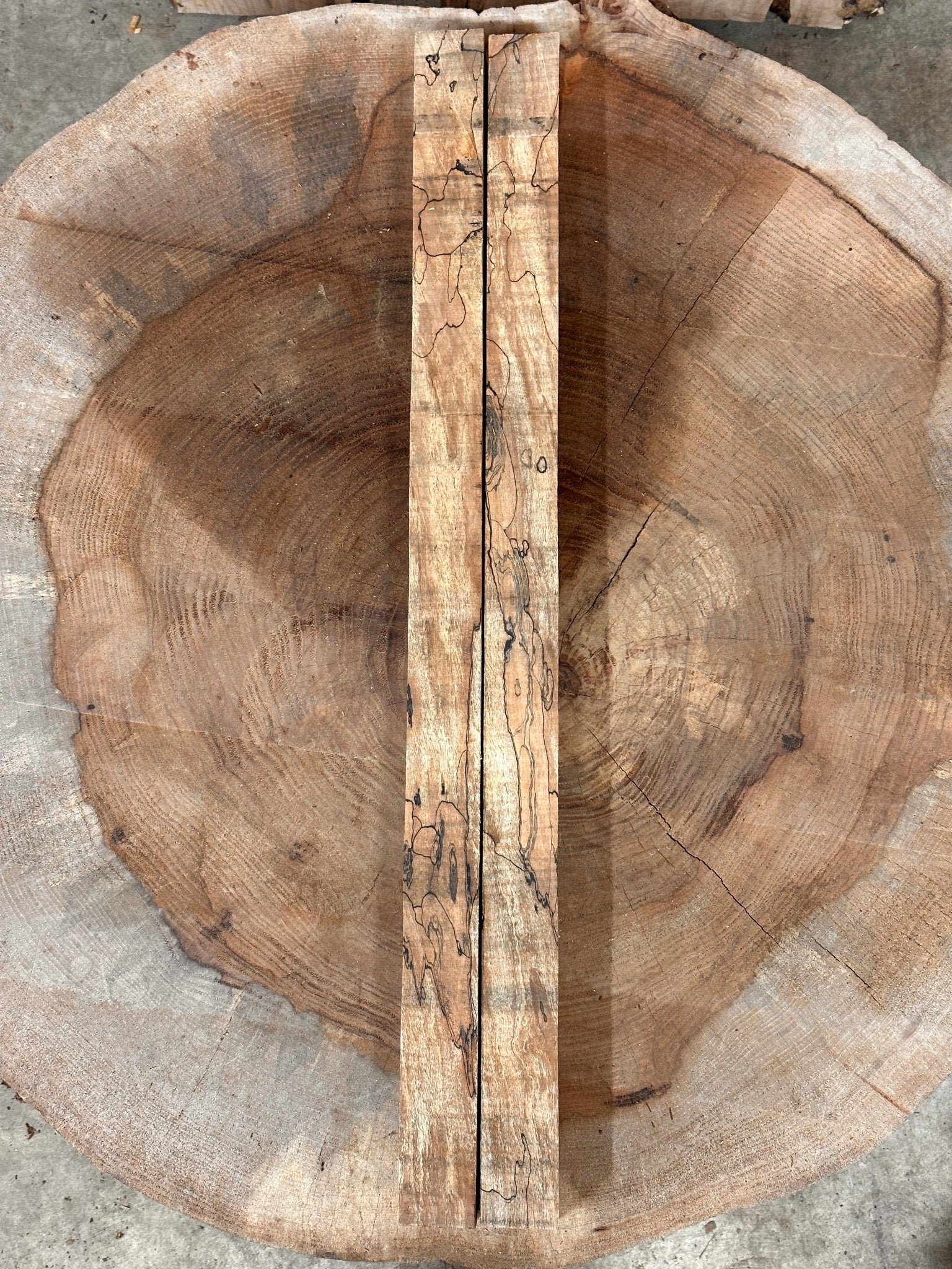 Big Leaf Maple Blank | Big Leaf Maple | Double Diamond