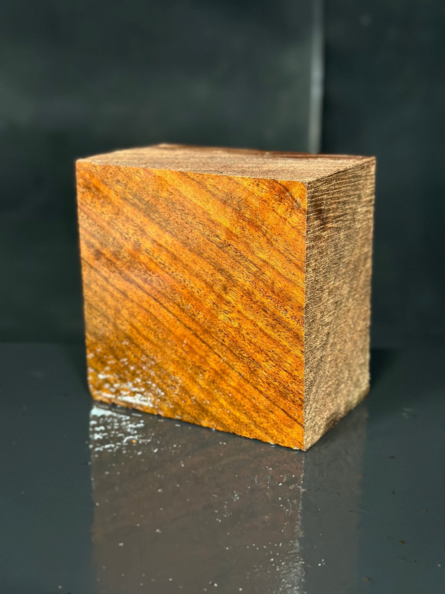 Black Walnut Bowl Blank | Black Walnut | Hamilton Lee Supply | BGHLSBWTS.840