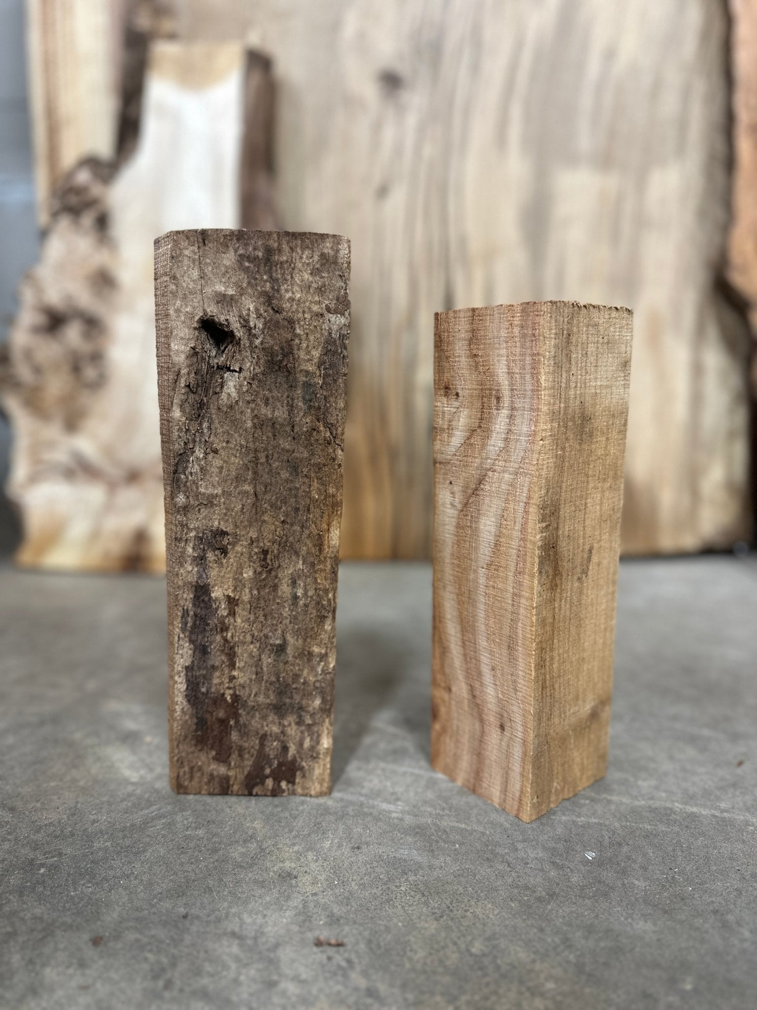 Elm and Ash Blanks 2 Pack Bundle | Turning Blank | DGB Woodworks