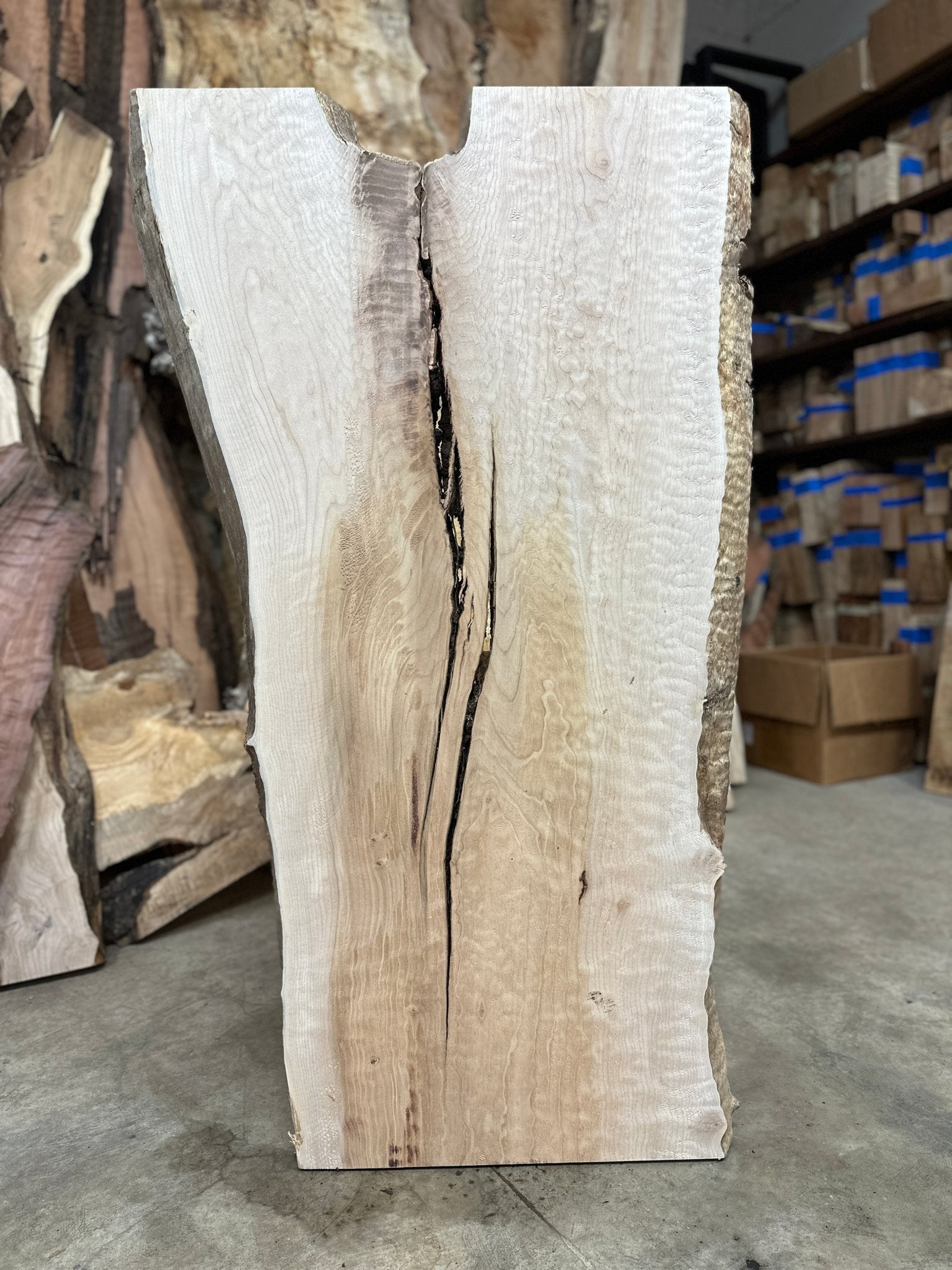 LiveEdge Big Leaf Maple | Big Leaf Maple | Deadwood Sawmill