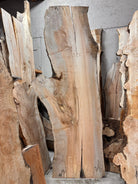 LiveEdge Big Leaf Maple | Big Leaf Maple | Double Diamond