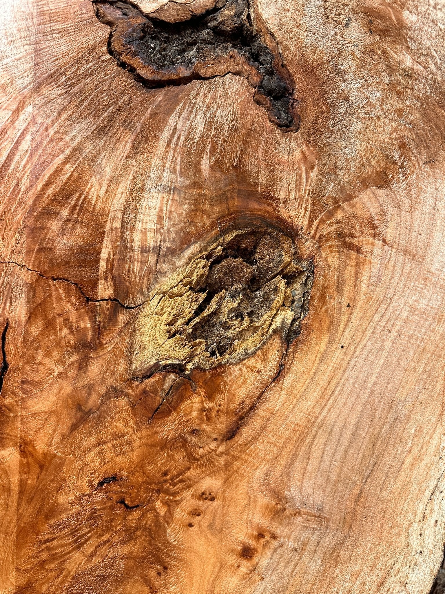 LiveEdge Big Leaf Maple | Big Leaf Maple | Double Diamond