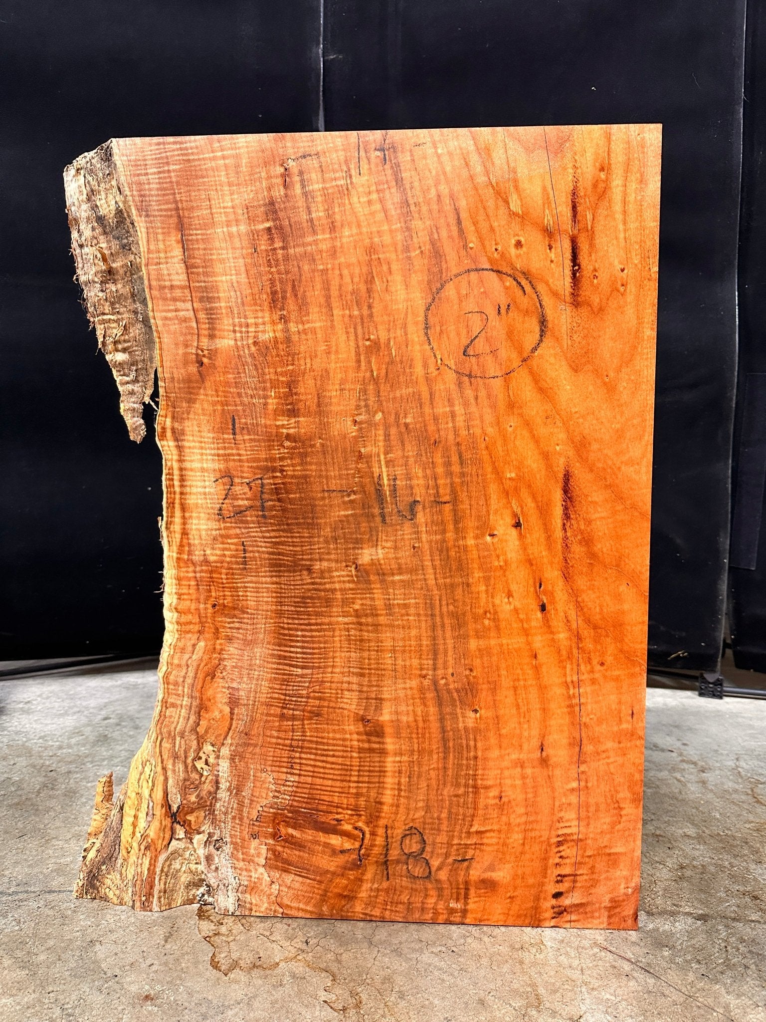 LiveEdge Big Leaf Maple | Big Leaf Maple | Double Diamond