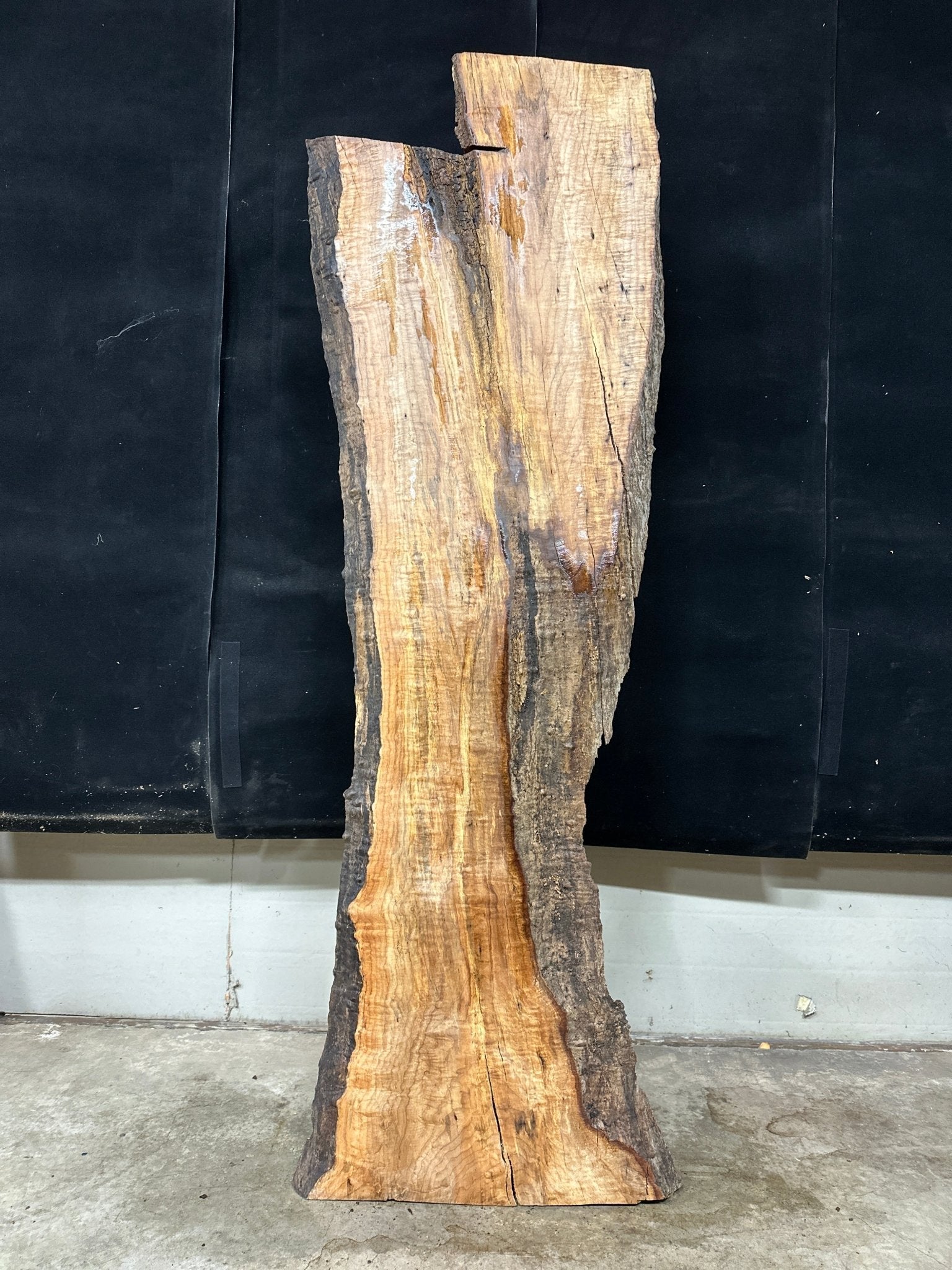 LiveEdge Big Leaf Maple | Big Leaf Maple | Double Diamond | BGDDBLMCS.867
