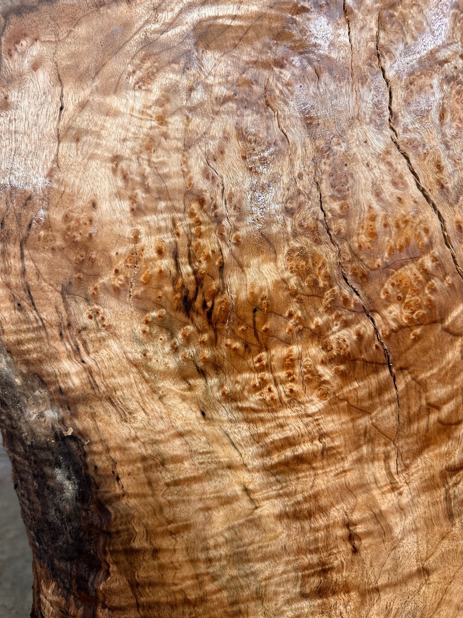 LiveEdge Big Leaf Maple | Black Locust | Double Diamond