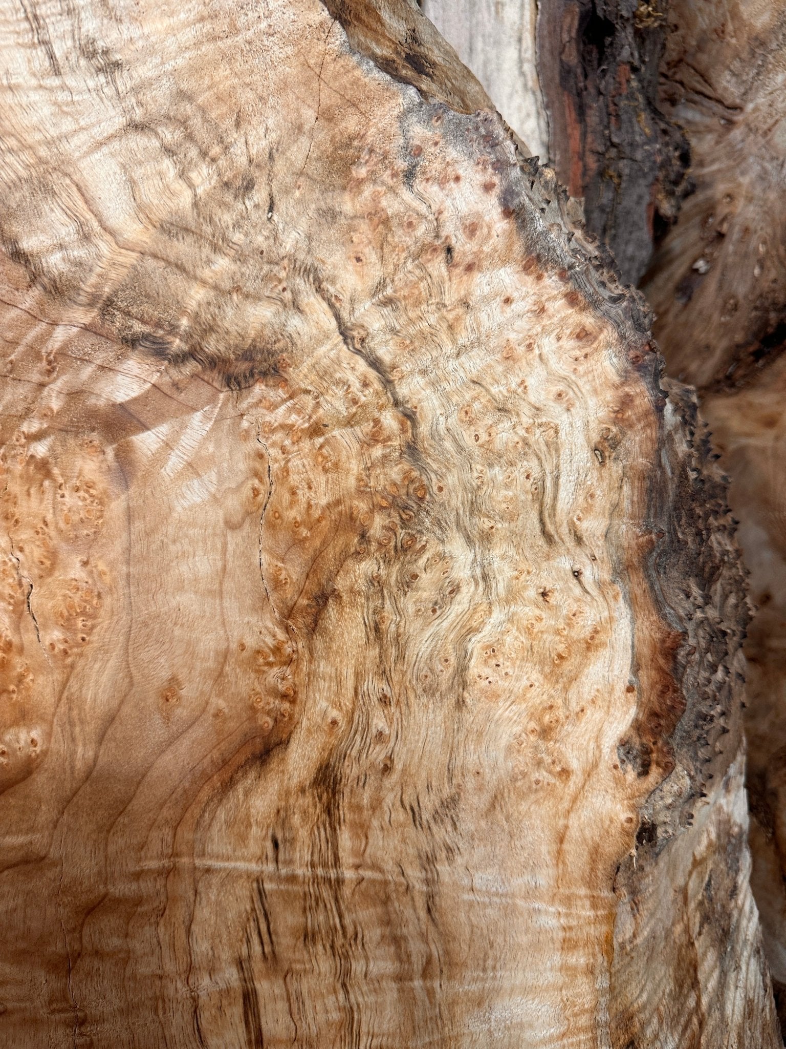 LiveEdge Big Leaf Maple | Black Locust | Double Diamond