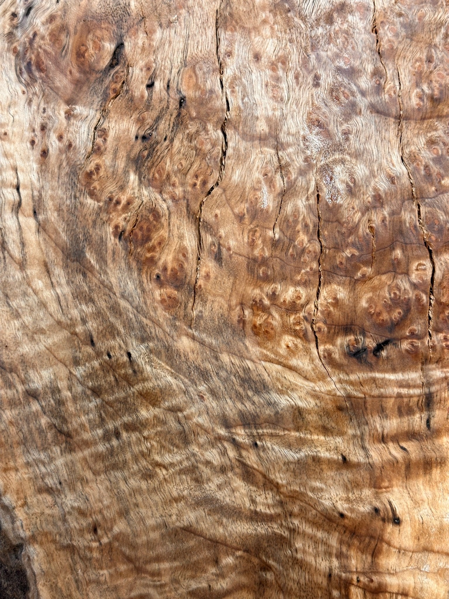 LiveEdge Big Leaf Maple | Black Locust | Double Diamond