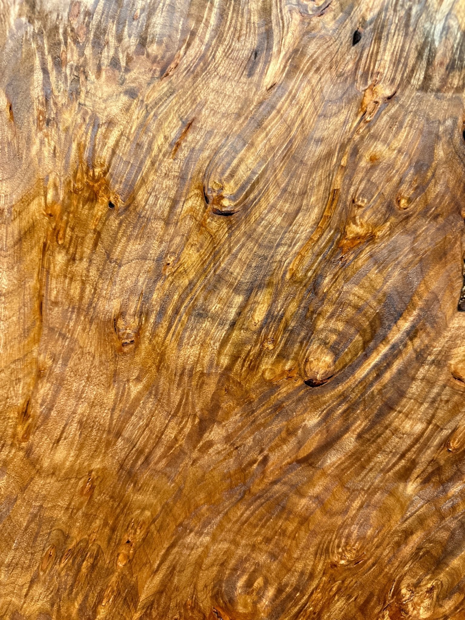 LiveEdge Big Leaf Maple Burl | Big Leaf Maple | RedFalcon