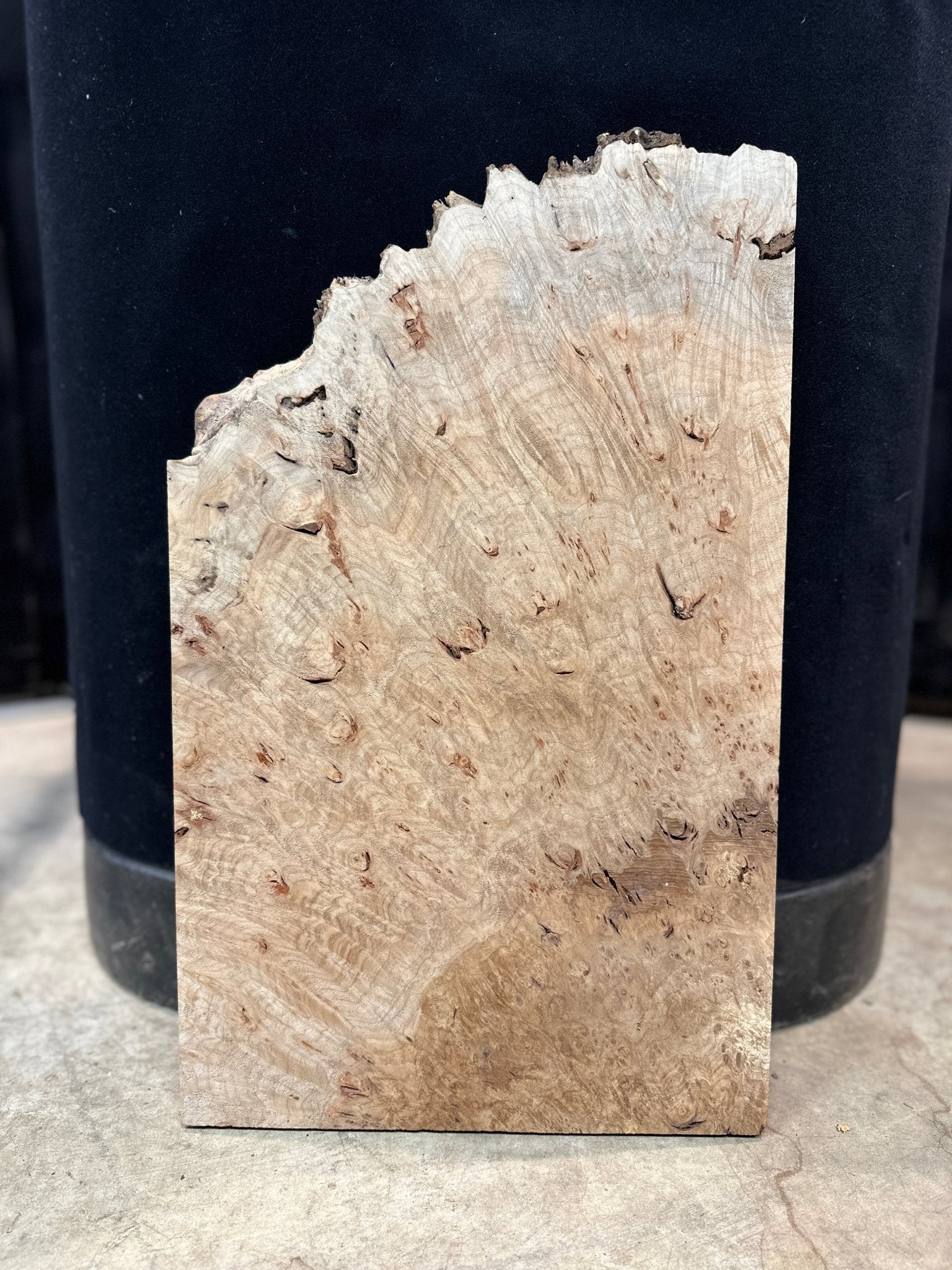 LiveEdge Big Leaf Maple Burl | Big Leaf Maple | RedFalcon