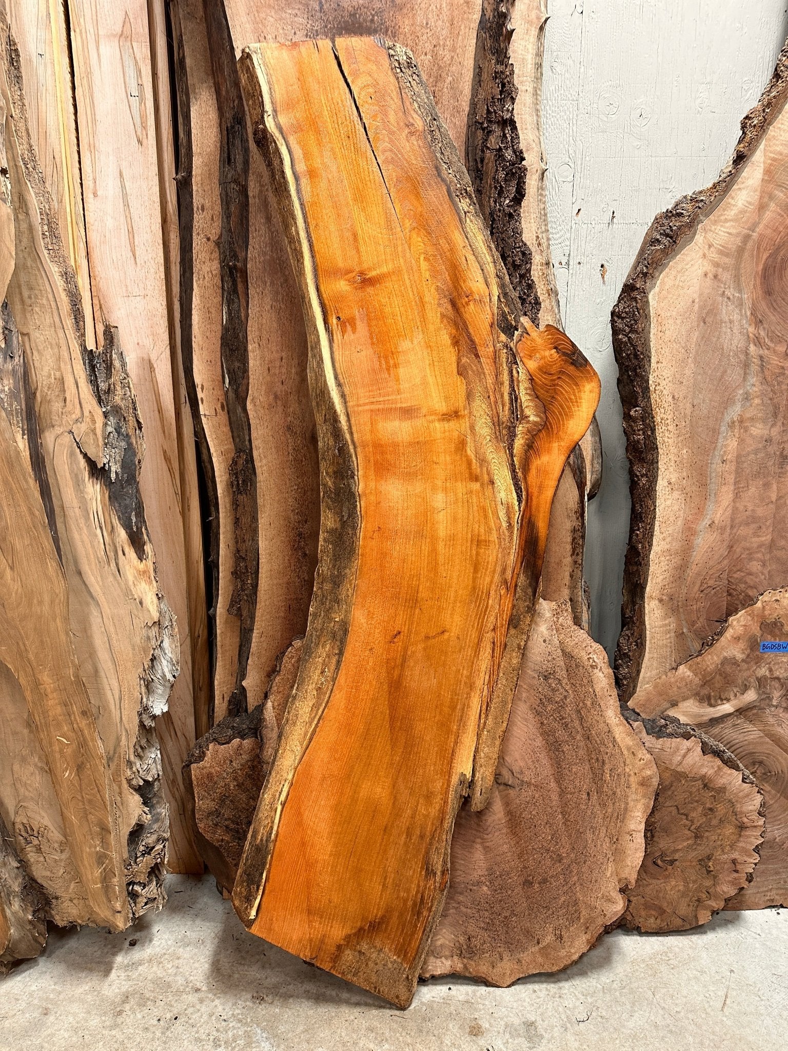 LiveEdge Black Locust | Black Locust | Crazy Grain