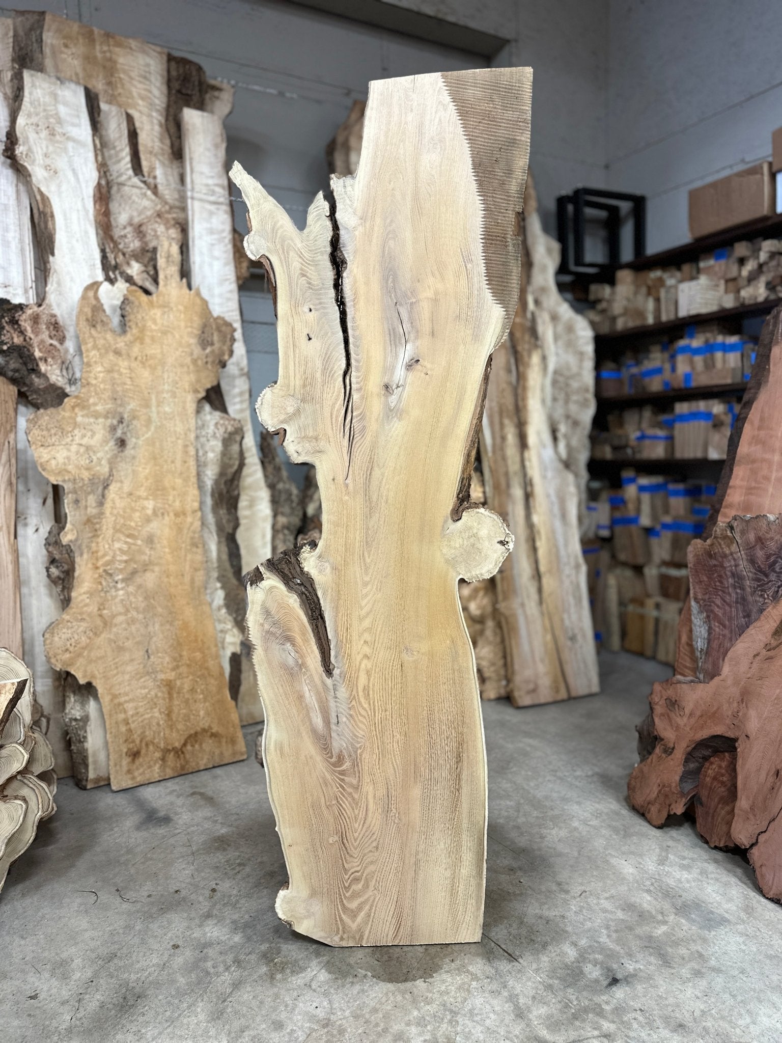 LiveEdge Black Locust | Black Locust | Double Diamond