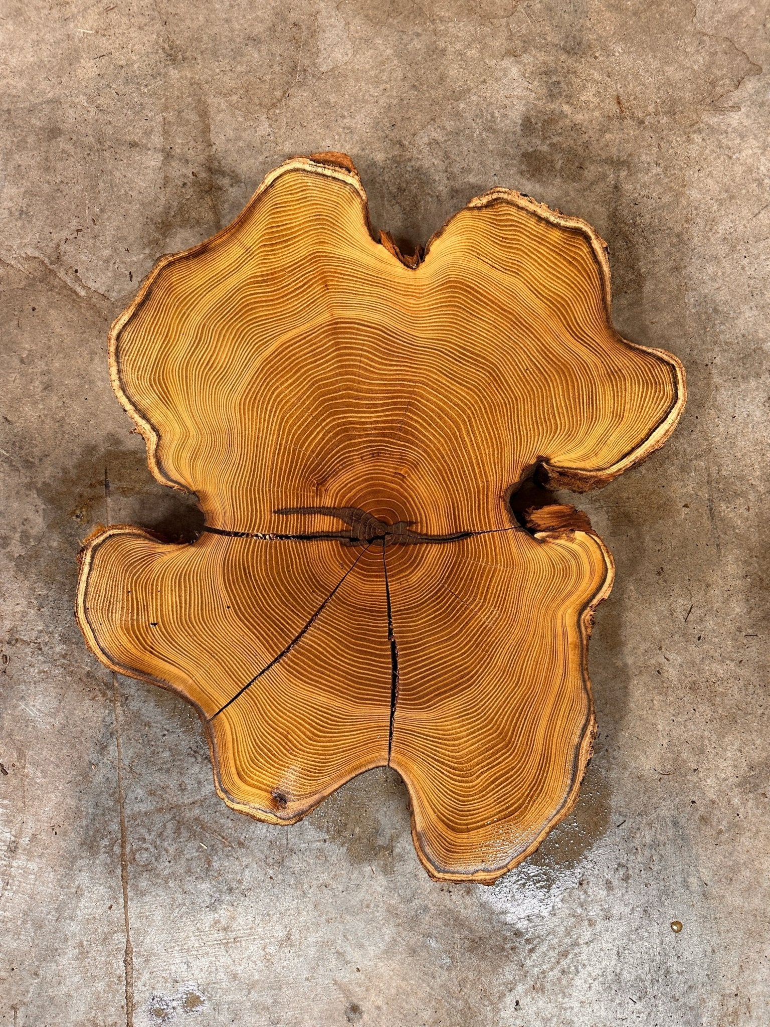 LiveEdge Black Locust | Black Locust | Double Diamond