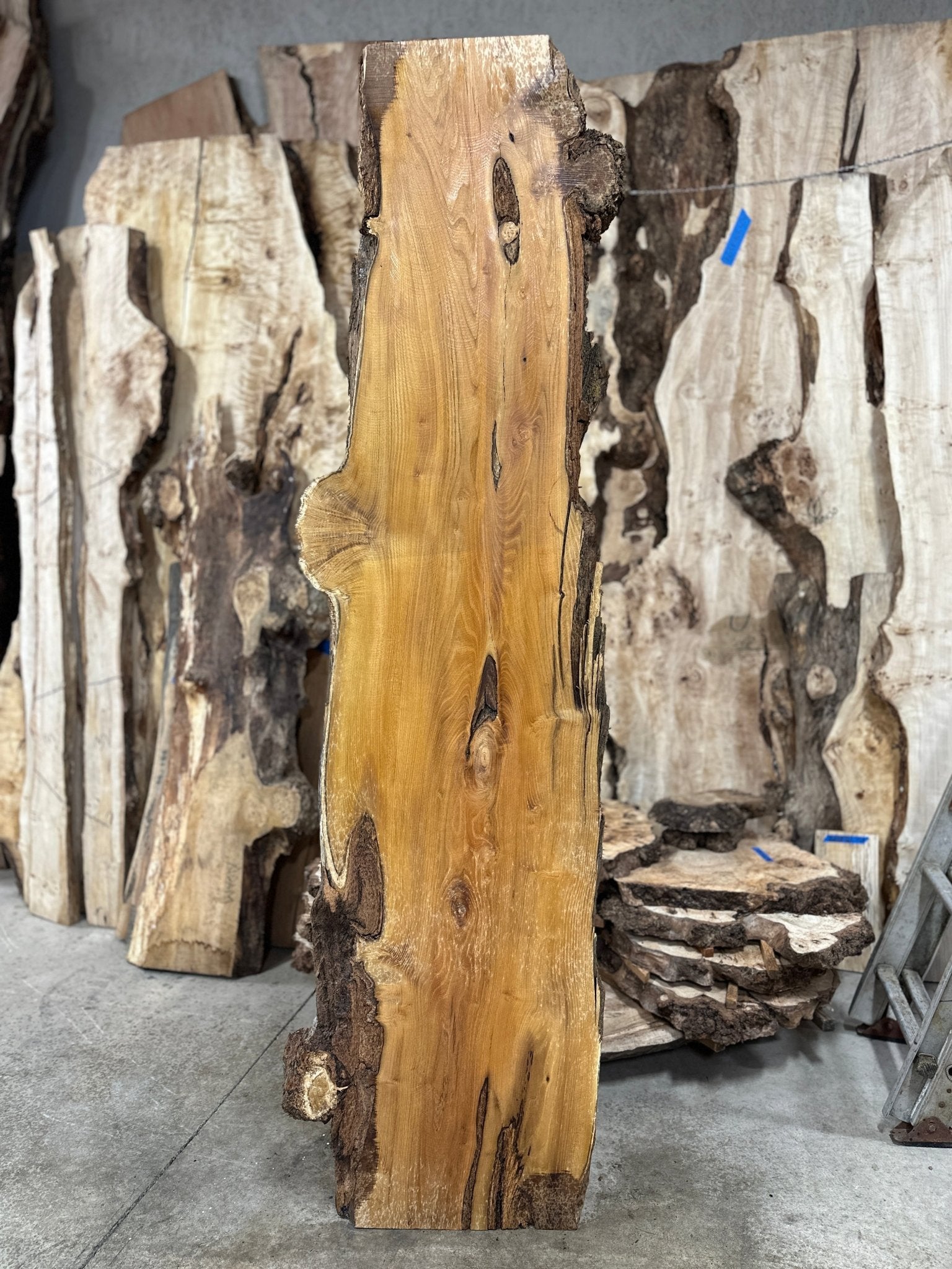 LiveEdge Black Locust | Black Locust | Double Diamond