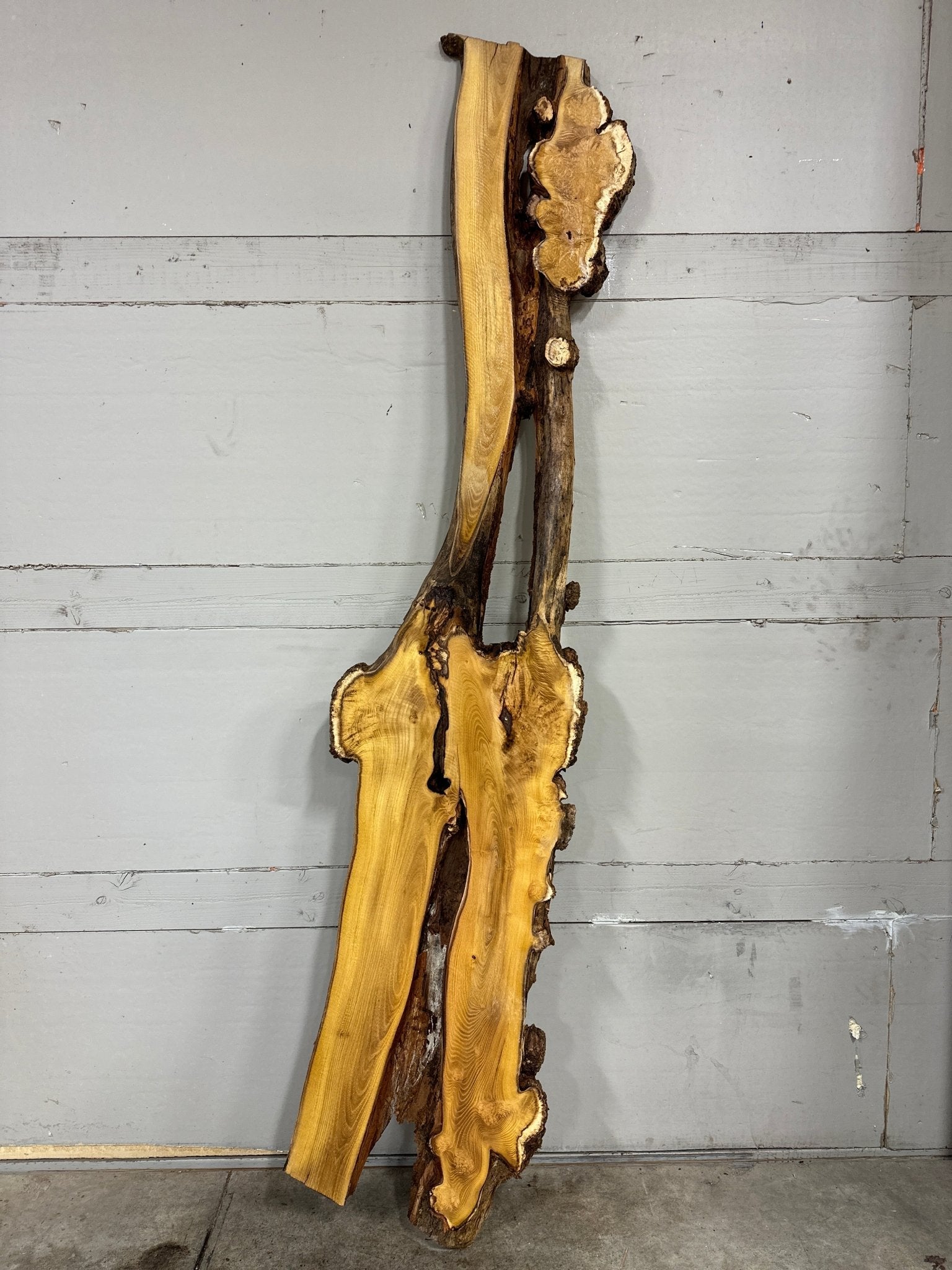 LiveEdge Black Locust | Black Locust | Double Diamond | BGDDBL691