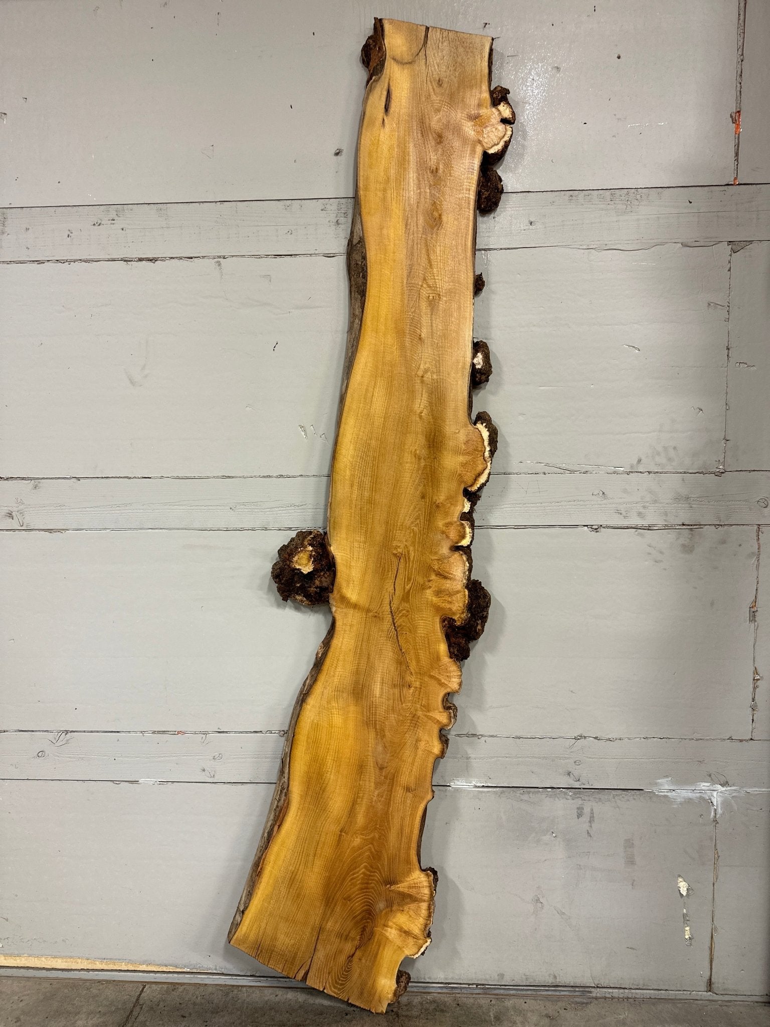 LiveEdge Black Locust | Black Locust | Double Diamond | BGDDBL693