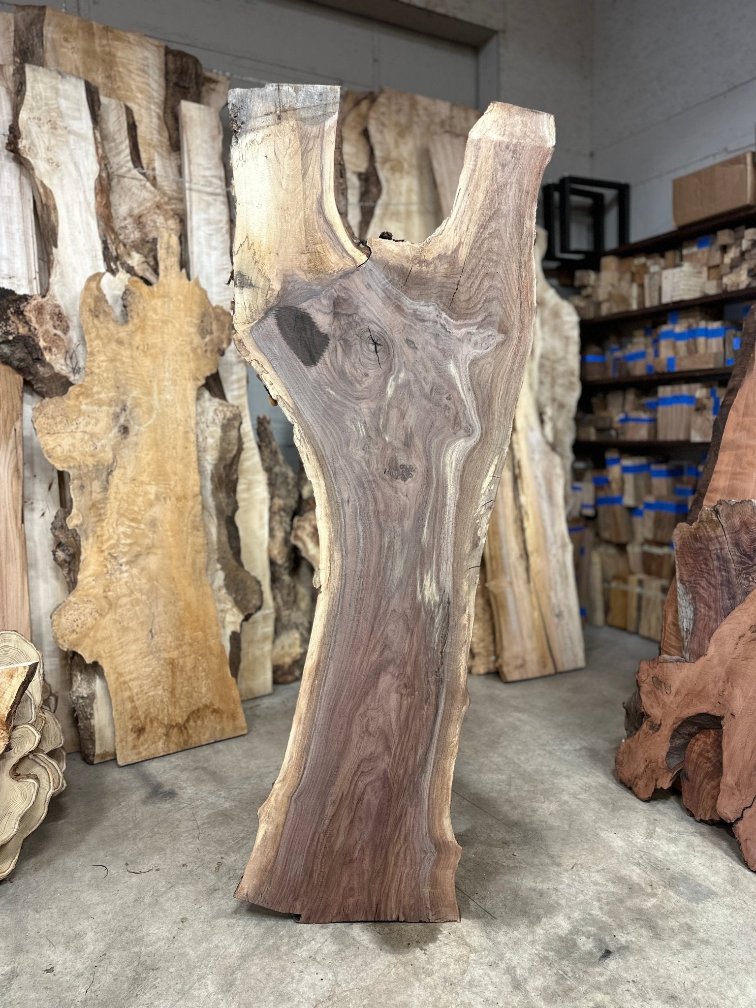 LiveEdge Black Walnut | Black Walnut | Double Diamond