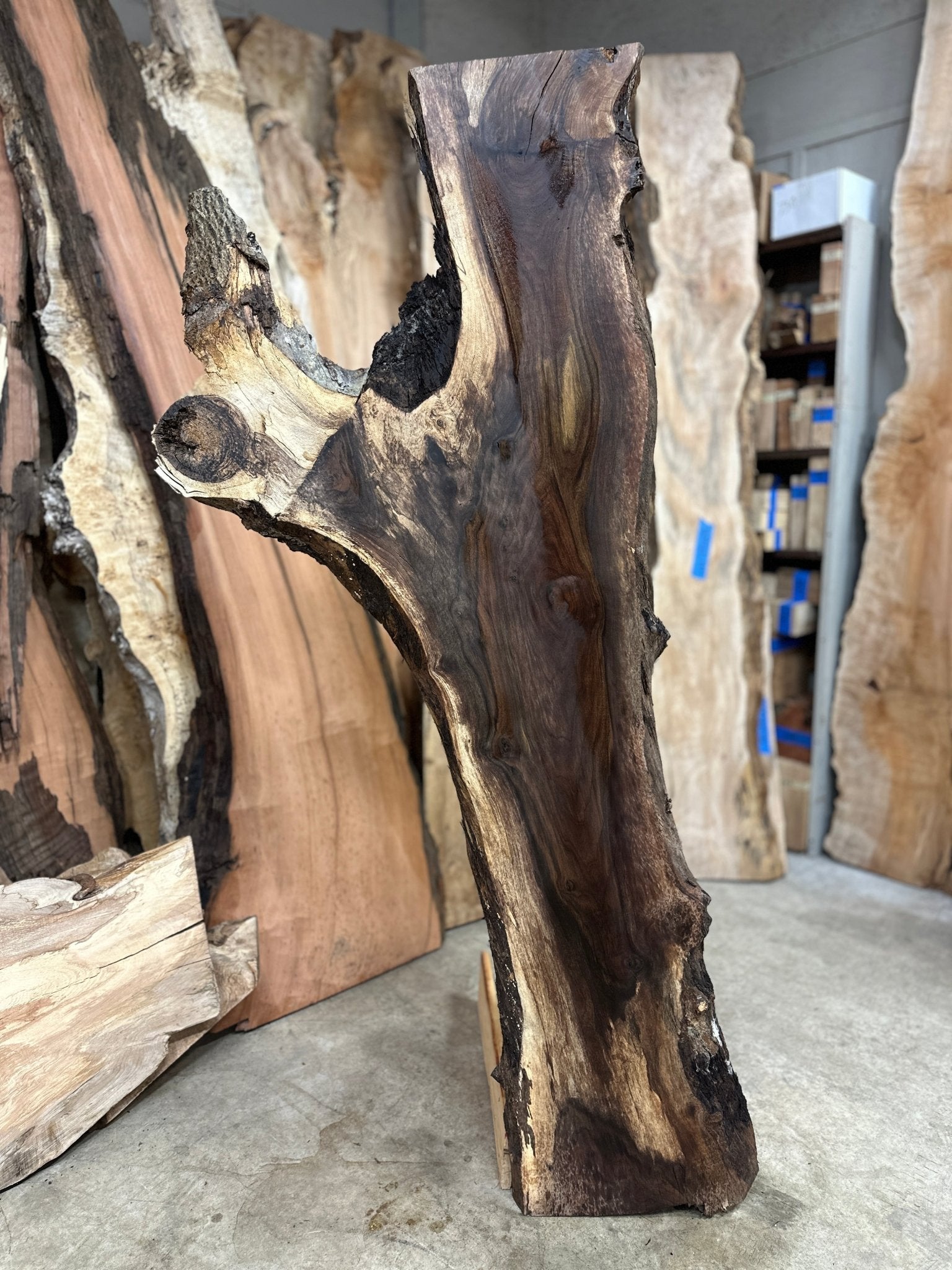 LiveEdge Black Walnut | Black Walnut | Double Diamond