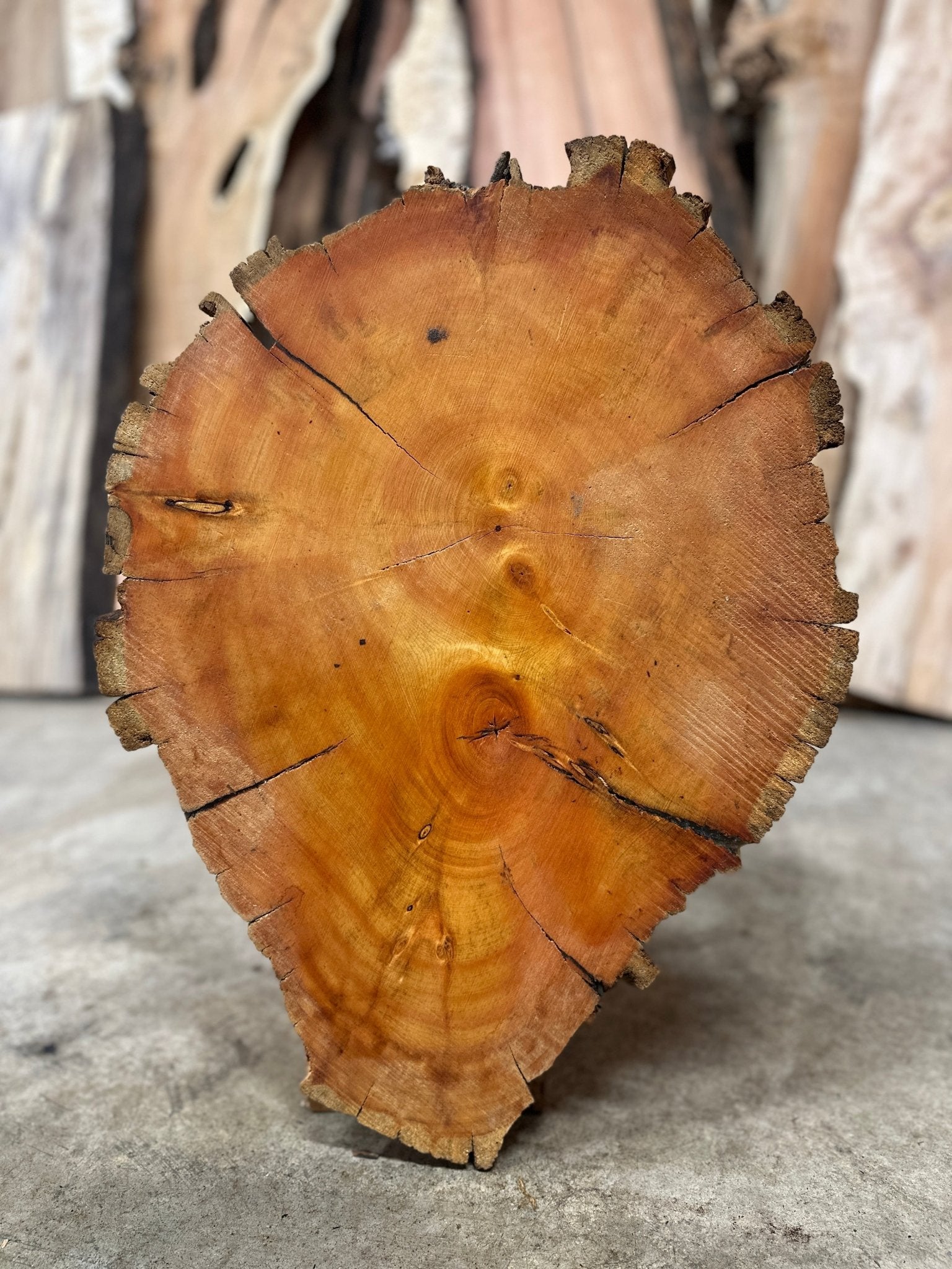 LiveEdge Bristlecone Pine | Bristlecone Pine | Hamilton Lee Supply