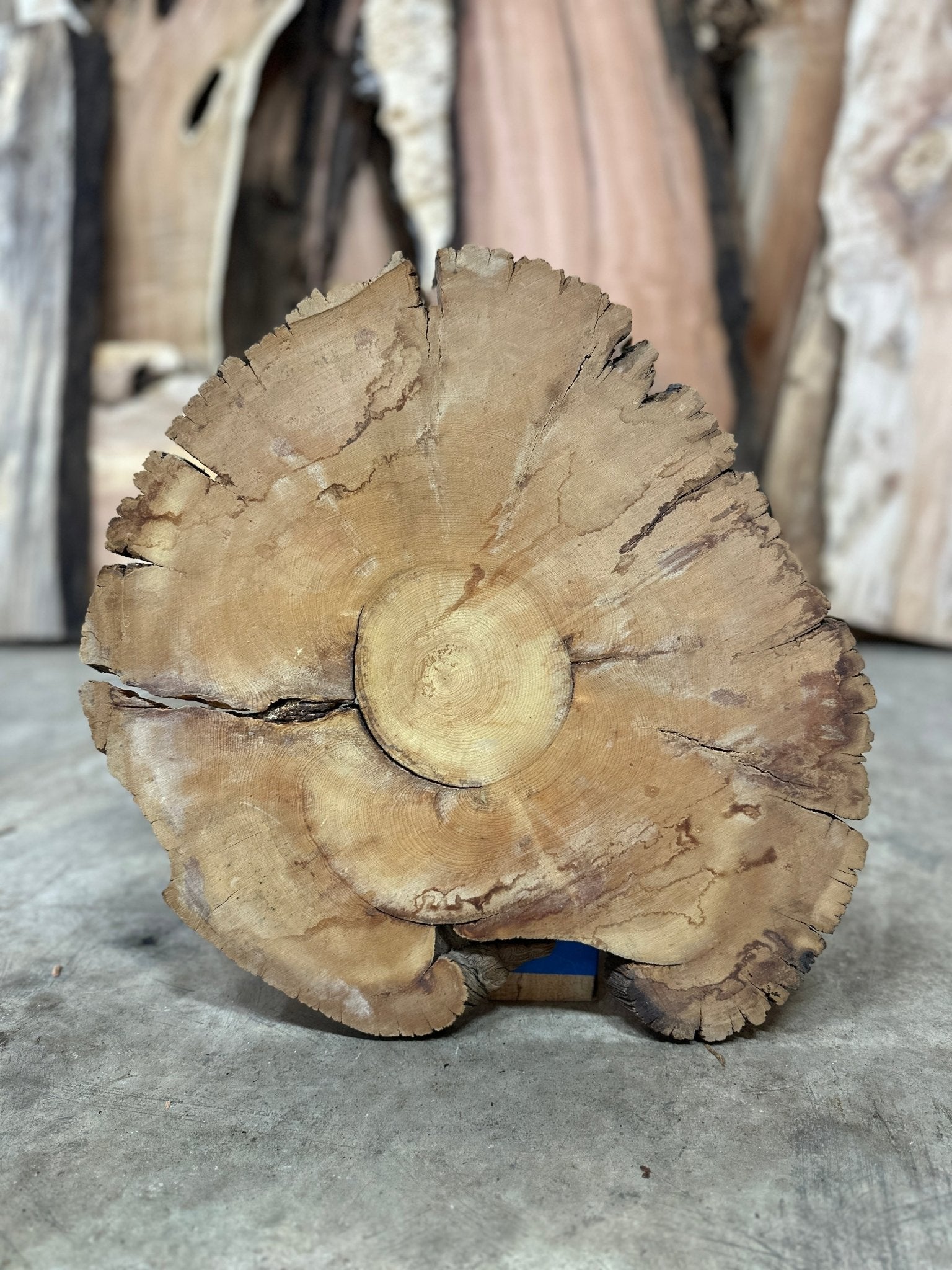 LiveEdge Bristlecone Pine | Bristlecone Pine | Hamilton Lee Supply