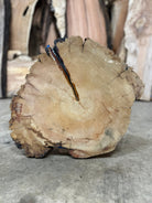 LiveEdge Bristlecone Pine | Bristlecone Pine | Hamilton Lee Supply