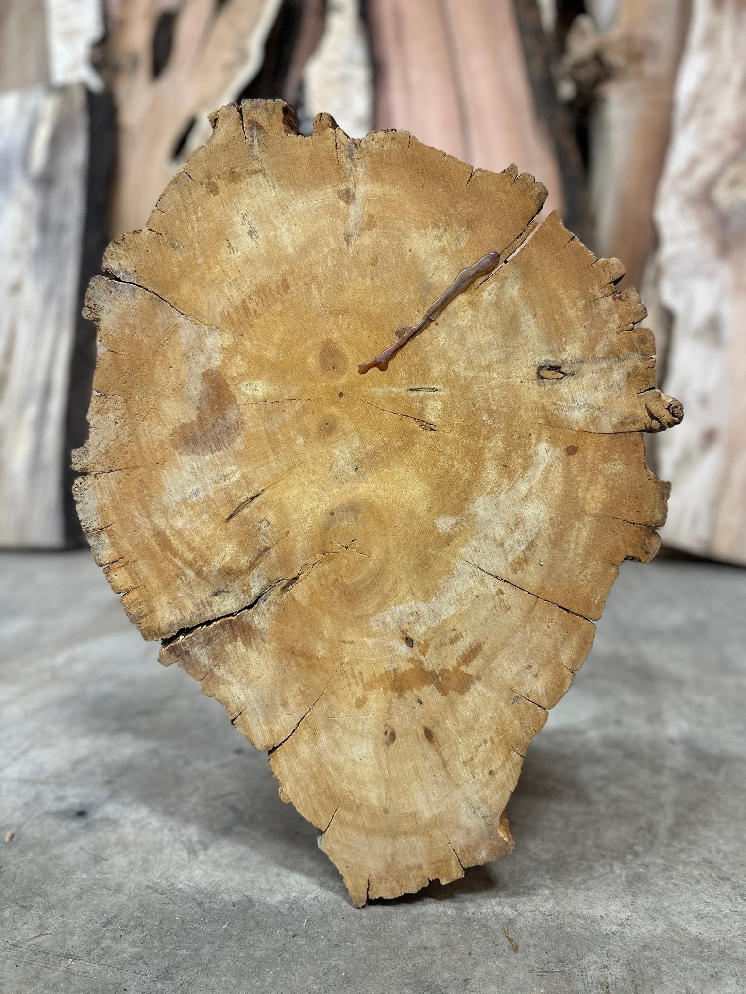 LiveEdge Bristlecone Pine | Bristlecone Pine | Hamilton Lee Supply