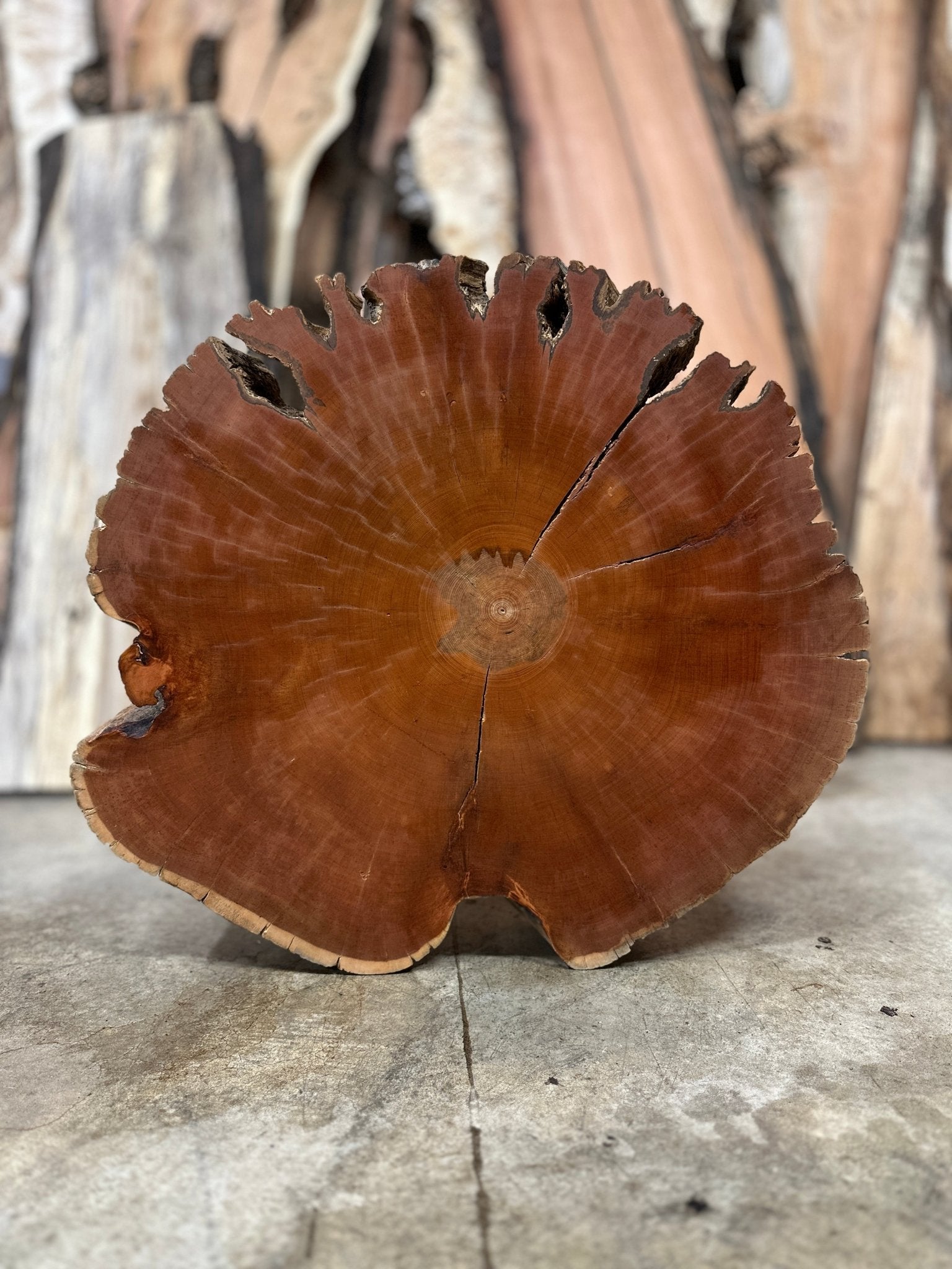 LiveEdge Bristlecone Pine | Bristlecone Pine | Hamilton Lee Supply