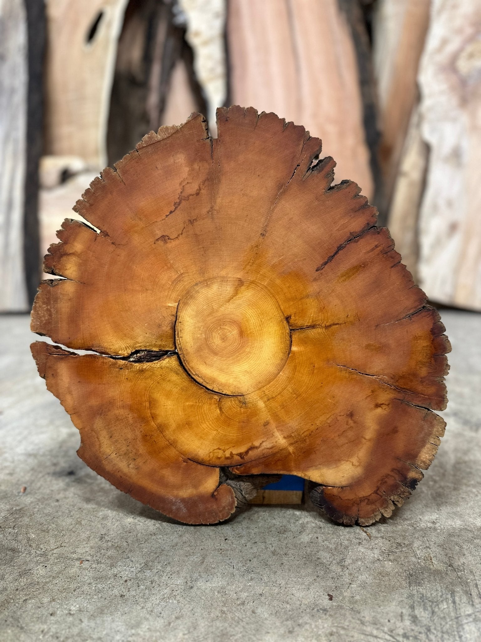 LiveEdge Bristlecone Pine | Bristlecone Pine | Hamilton Lee Supply