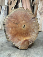 LiveEdge Bristlecone Pine | Bristlecone Pine | Hamilton Lee Supply