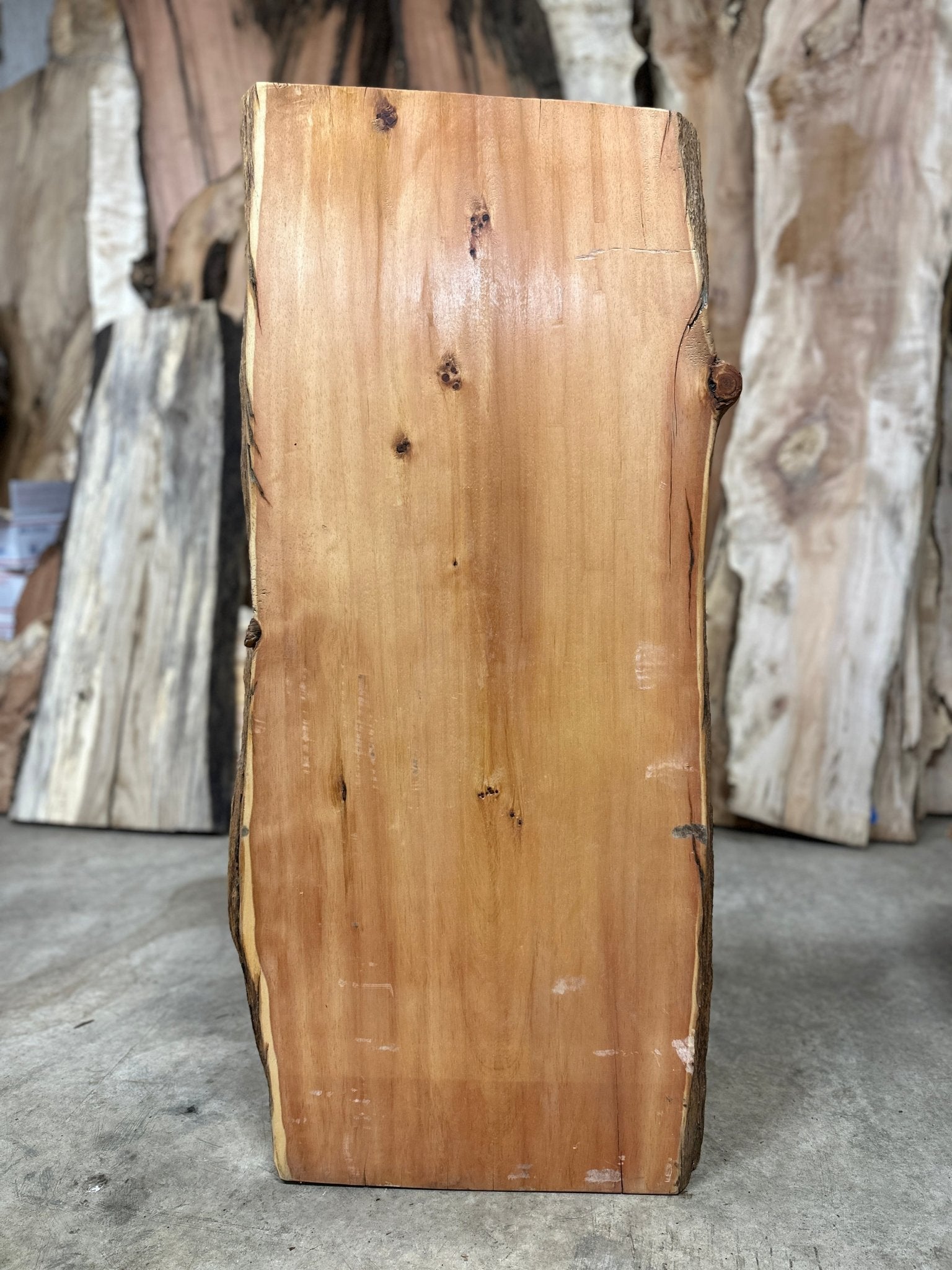 LiveEdge Bristlecone Pine | Bristlecone Pine | Hamilton Lee Supply