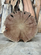 LiveEdge Bristlecone Pine | Bristlecone Pine | Hamilton Lee Supply