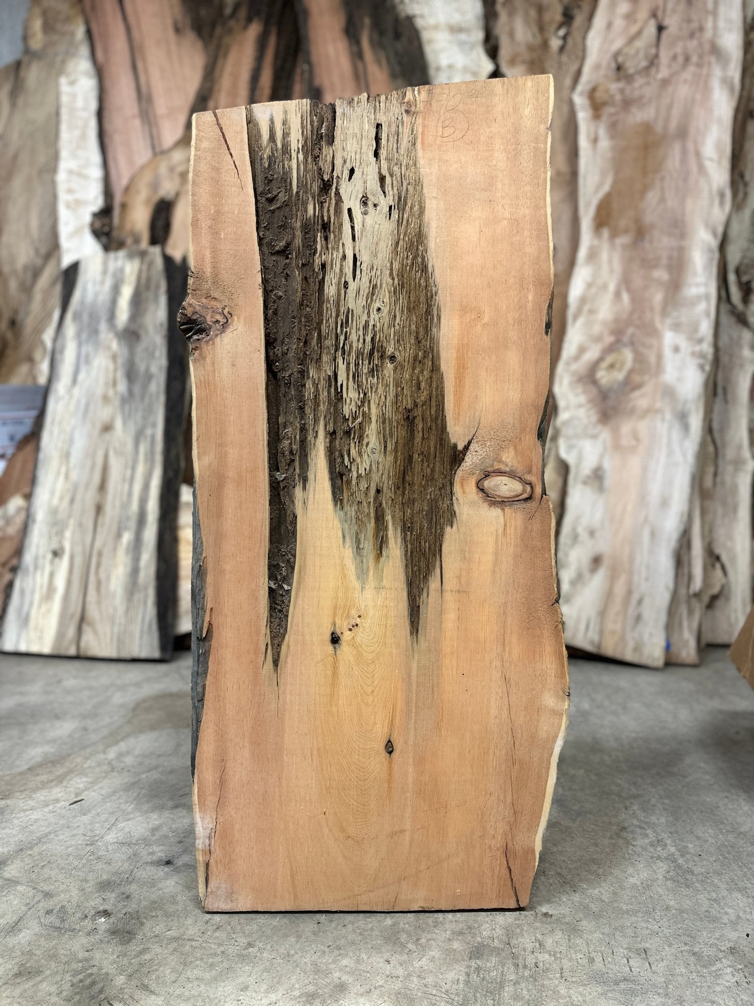 LiveEdge Bristlecone Pine | Bristlecone Pine | Hamilton Lee Supply