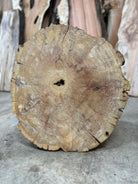 LiveEdge Bristlecone Pine | Bristlecone Pine | Hamilton Lee Supply