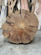 LiveEdge Bristlecone Pine | Bristlecone Pine | Hamilton Lee Supply