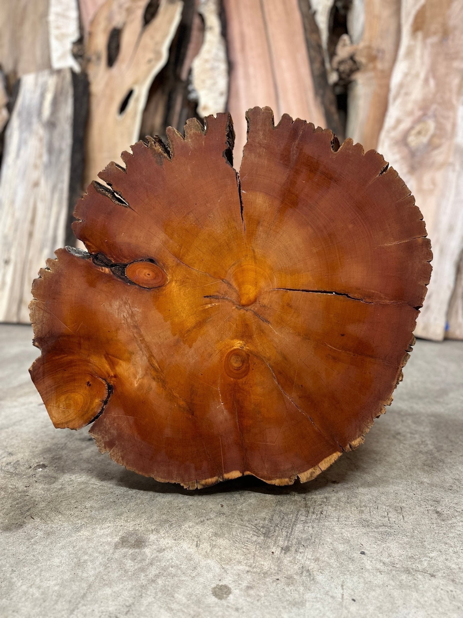 LiveEdge Bristlecone Pine | Bristlecone Pine | Hamilton Lee Supply