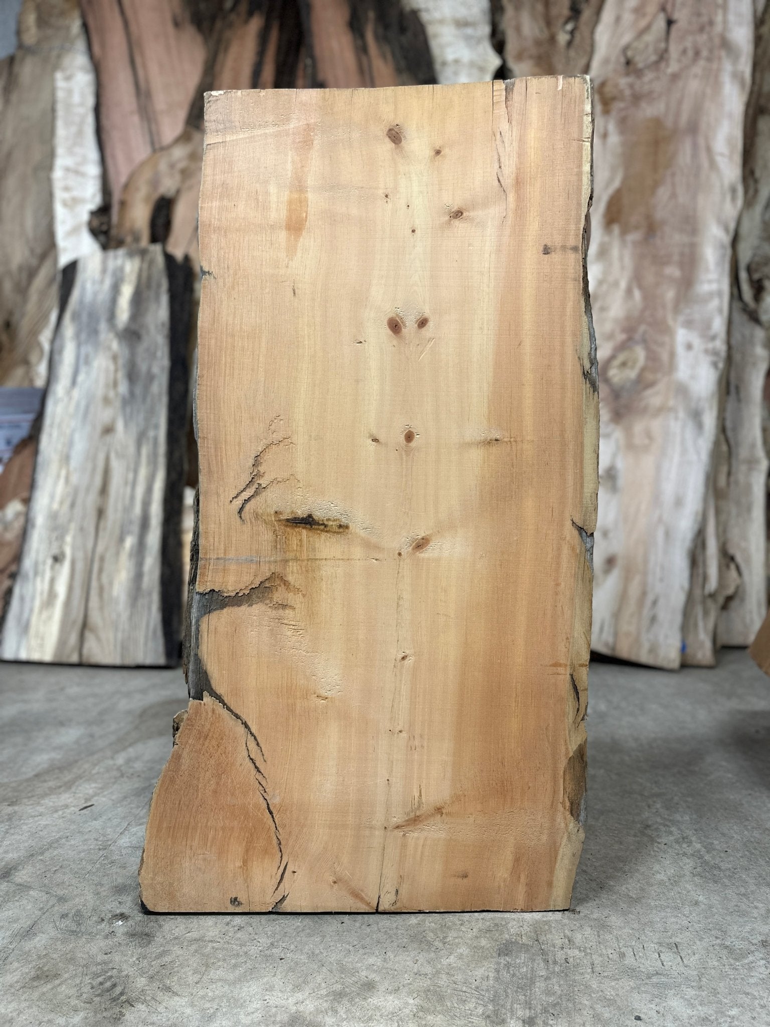 LiveEdge Bristlecone Pine | Bristlecone Pine | Hamilton Lee Supply