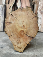 LiveEdge Bristlecone Pine | Bristlecone Pine | Hamilton Lee Supply