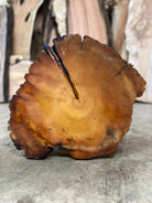 LiveEdge Bristlecone Pine | Bristlecone Pine | Hamilton Lee Supply