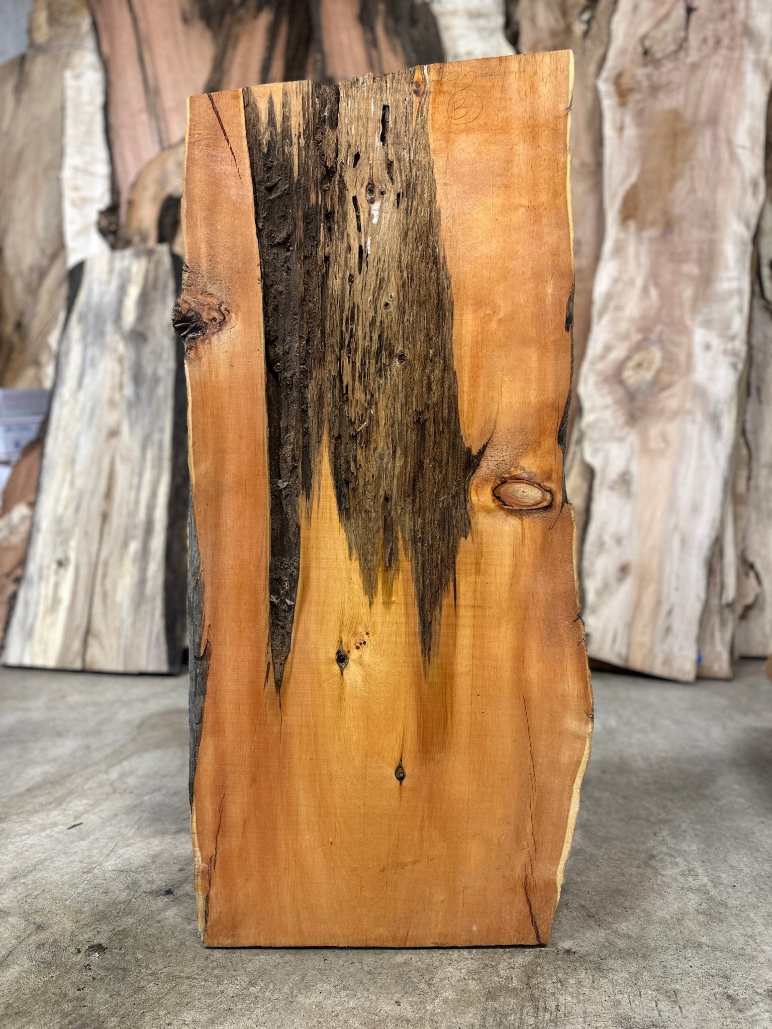 LiveEdge Bristlecone Pine | Bristlecone Pine | Hamilton Lee Supply