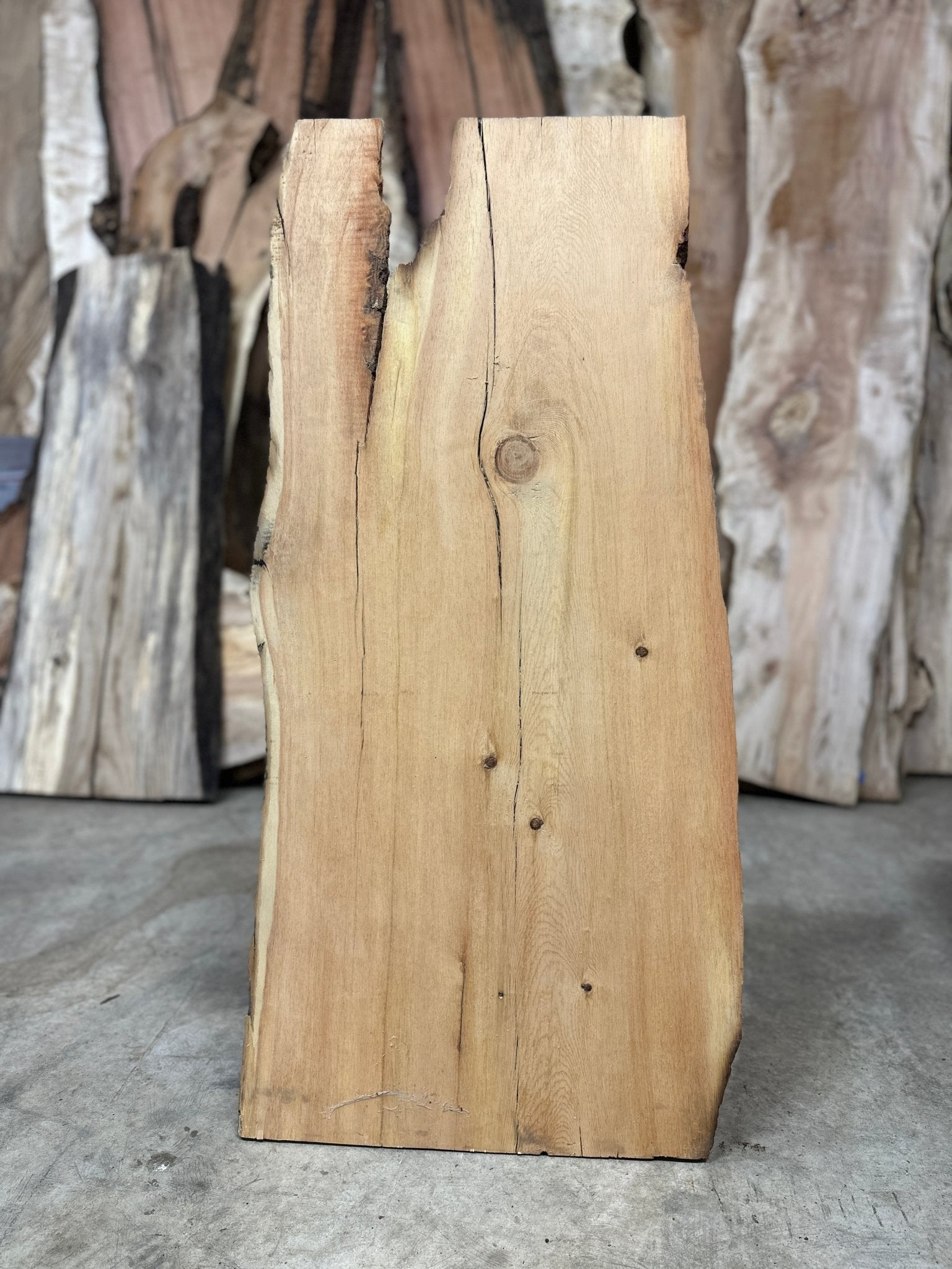 LiveEdge Bristlecone Pine | Bristlecone Pine | Hamilton Lee Supply