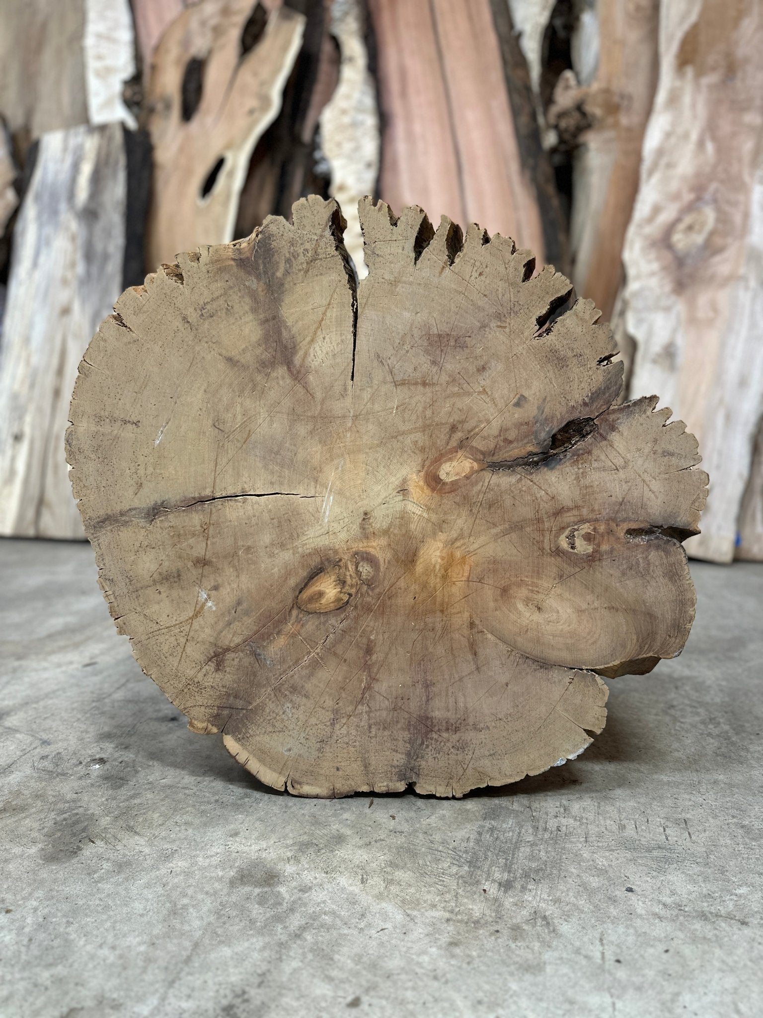 LiveEdge Bristlecone Pine | Bristlecone Pine | Hamilton Lee Supply