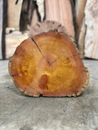 LiveEdge Bristlecone Pine | Bristlecone Pine | Hamilton Lee Supply