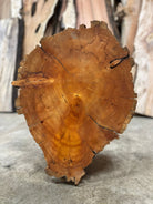 LiveEdge Bristlecone Pine | Bristlecone Pine | Hamilton Lee Supply