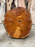 LiveEdge Bristlecone Pine | Bristlecone Pine | Hamilton Lee Supply