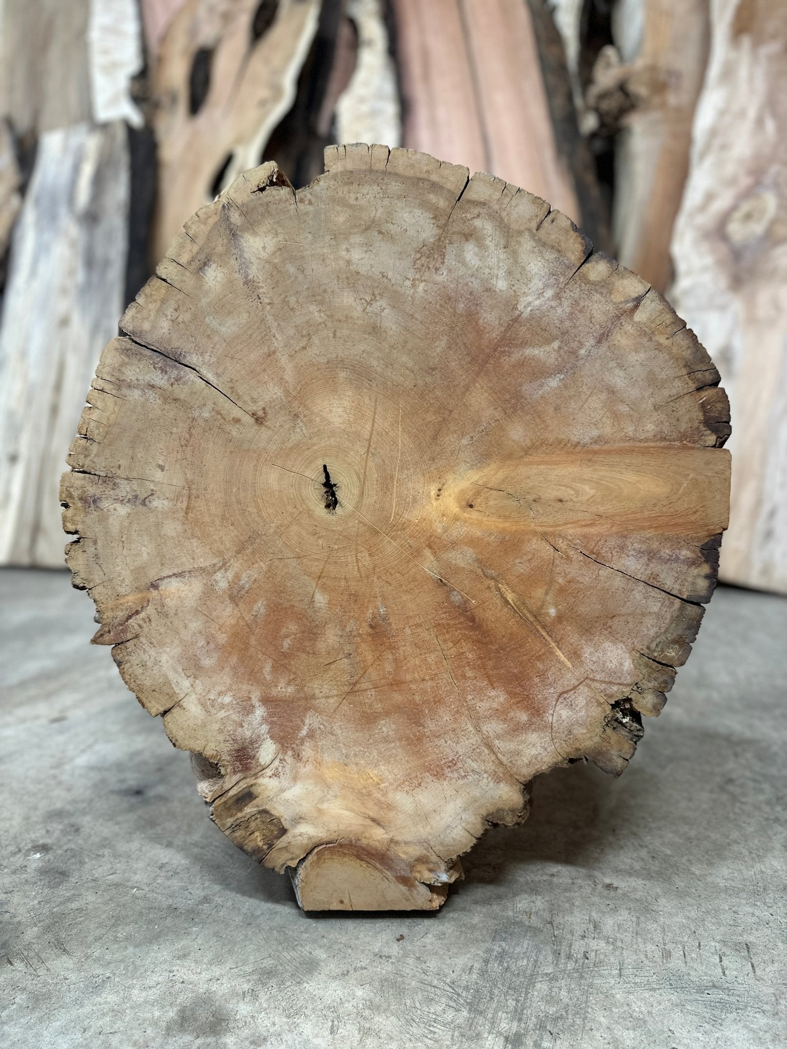 LiveEdge Bristlecone Pine | Bristlecone Pine | Hamilton Lee Supply