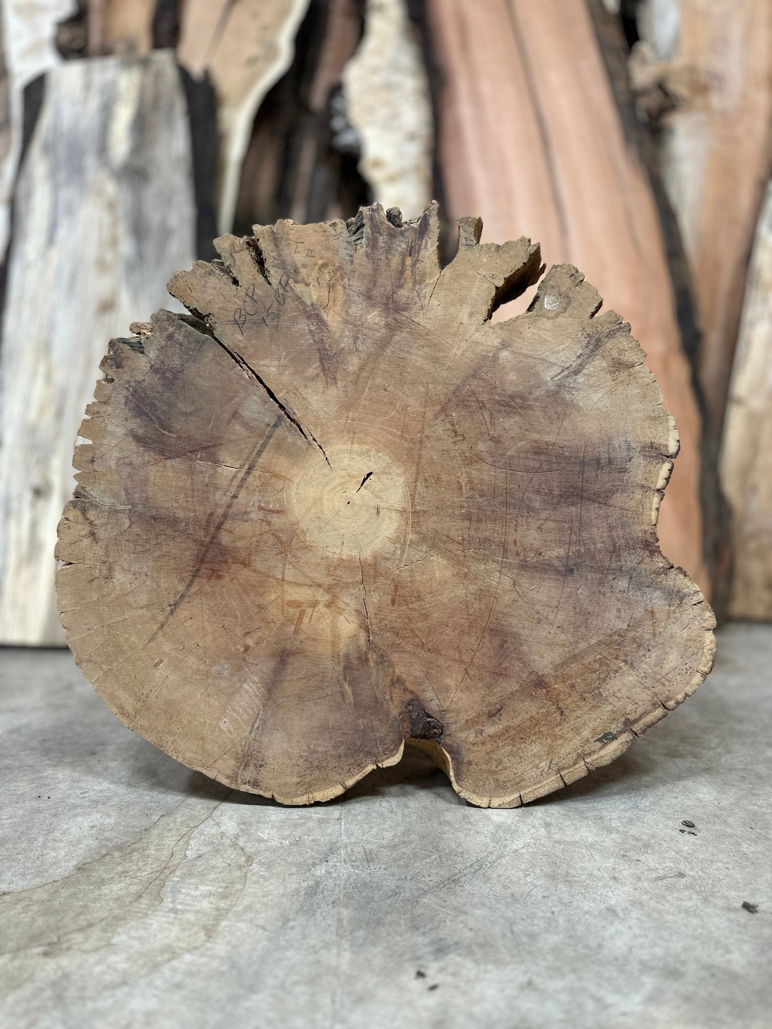 LiveEdge Bristlecone Pine | Bristlecone Pine | Hamilton Lee Supply